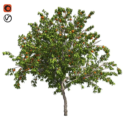 Garden Ornament Decorative Tree With Orange Fruits And Green Leaves For Outdoor Garden Decoration 3d model