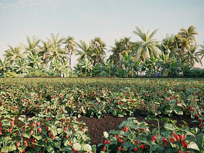 Modern Strawberry Garden 3d model