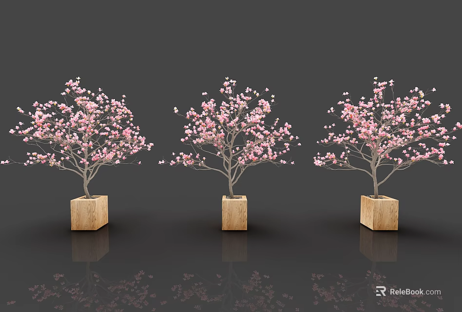 Decorative Bonsai Potted Plants With Pink Blossoms In Wooden Square Planters 3d model 