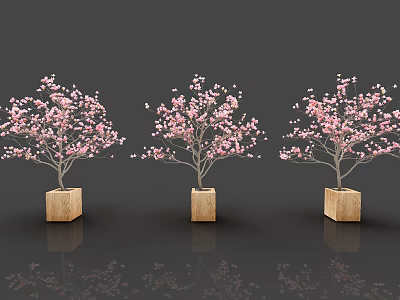 Decorative Bonsai Potted Plants With Pink Blossoms In Wooden Square Planters 3d model