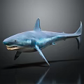 Realistic Blue Shark 3D Rendered With Open Mouth And Lifelike Swimming Pose