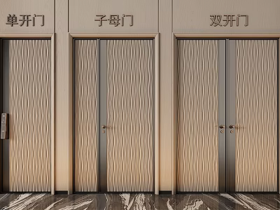 Modern Single Child Mother and Double Front Doors with Vertical Wooden Slat Design 3d model