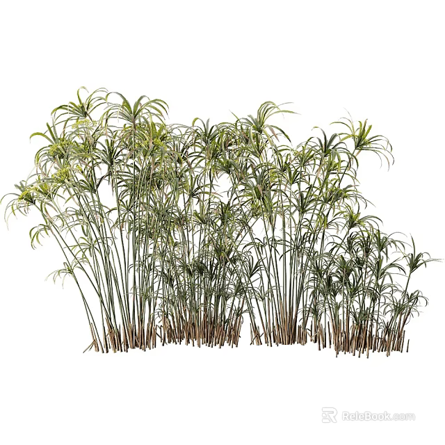 Tall Bamboo Plants With Slender Stems And Lush Green Leaves In Natural Cluster 3d model 
