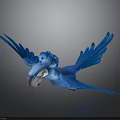 Blue Parrot Flying With Spread Wings Crown Like Decoration Pink Beak White Eyes Gray Background
