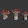 Three Fresh Red Brown Cap Mushrooms With White Stems And Glossy Surface