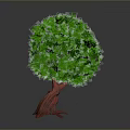 Lush Green Round Crown Tree with Distinctive Red Trunk on Neutral Gray Background