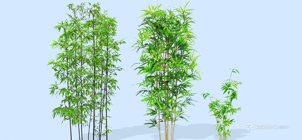 Lush Bamboo Clusters of Different Heights Against Light Blue Background 3d model 