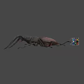 Large Brown Beetle With Antlers Next To Colorful Rubik's Cube On Gray Background