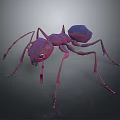 Purple Ant 3D Rendered Detailed Insect With Long Legs And Realistic Body