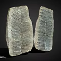 Two Natural Stone Decorative Pieces With Leaf Like Texture And Gray Surface Finish