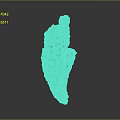 Vibrant Green And Purple Marine Coral Animal Reef Structure On Dark Background