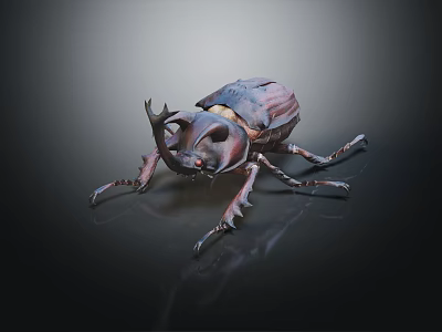 Horned Dark Colored Flying Insect Rhinoceros Beetle With Detailed Exoskeleton Isolated On Black Background 3d model