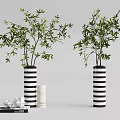 Black and White Striped Vases with Green Leafy Plants in Minimalist Decorative Arrangement with Books