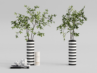 Modern vase ornaments 3d model