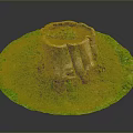 Wooden Tree Stump Surrounded By Circular Green Grass With Small Plants Growing