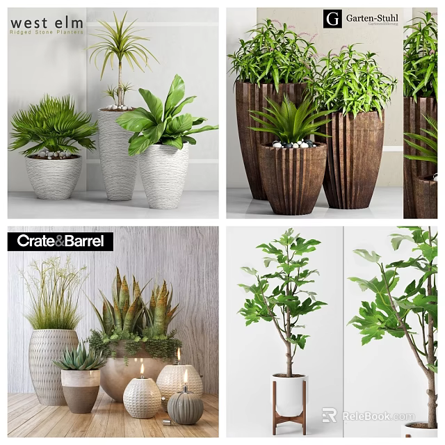 Indoor Bonsai and Potted Green Plants with Various Ceramic and Wooden Decorative Pots 3d model 