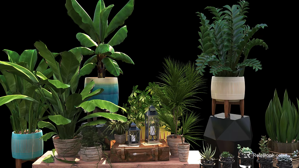 Indoor Decorative Potted Plants With Various Green Foliage And Stylish Pots 3d model 