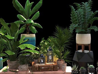 Indoor Decorative Potted Plants With Various Green Foliage And Stylish Pots 3d model