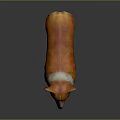 Animated Game Movie Character Corgi With Orange White Fur Tongue Out Standing On Dark Background