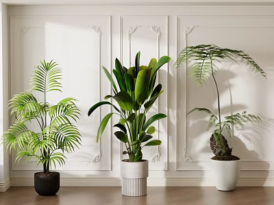 Indoor Bonsai Plants Decor With Various Green Foliage And Decorative Pots 3d model