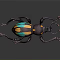 Vibrant Colorful Beetle With Purple Blue And Yellow Spots On Shiny Body