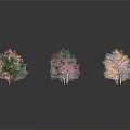 Various Colored Trees in Blue Pink Orange Green Purple on Dark Background
