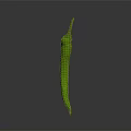 Vibrant Fresh Green Chili Pepper Standing On Gray Background Surface