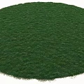 Vibrant Green Lush Round Lawn With Dense Fresh Grass Blades