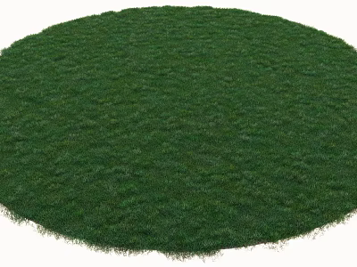 Vibrant Green Lush Round Lawn With Dense Fresh Grass Blades 3d model