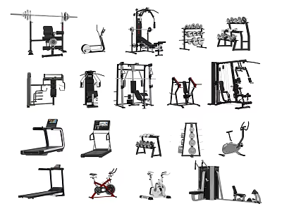 Various Types of Sports Equipment Including Treadmills Dumbbells Weight Benches and Elliptical Machines 3d model