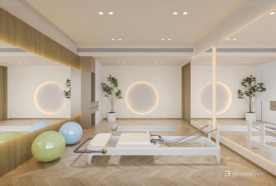 Bright Pilates Studio Interior With Reformer Balls Plants And Mirrors 3d model 