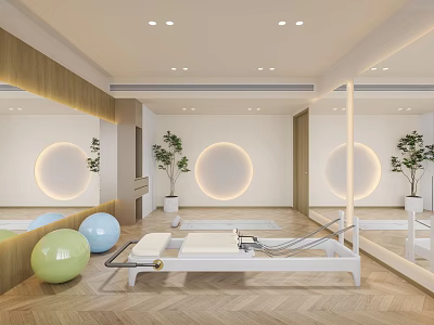Bright Pilates Studio Interior With Reformer Balls Plants And Mirrors 3d model