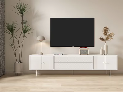 White TV Stand on Wooden Floor with Black Television Lamp Decorative Plants and Dried Flowers 3d model