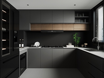 Modern Kitchen 3d model