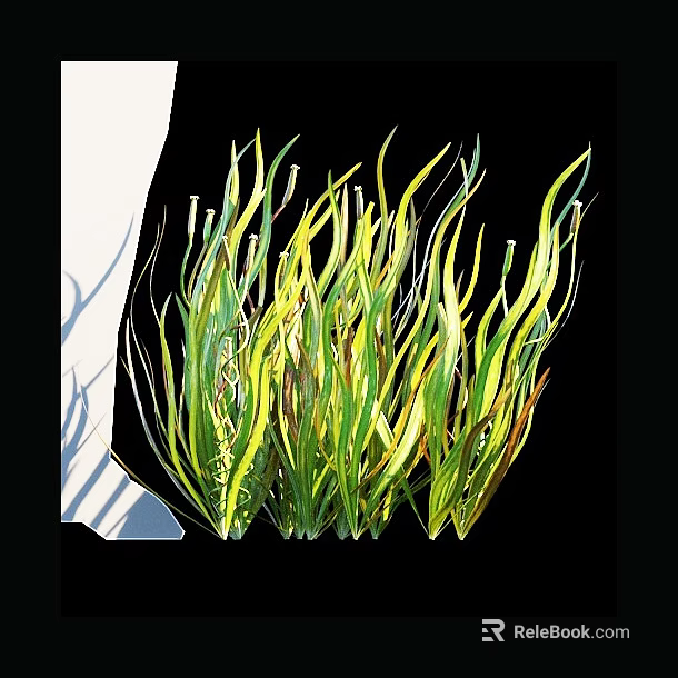 Lush Aquatic Plants with Long Slender Green Yellow Leaves and Natural Foliage 3d model 