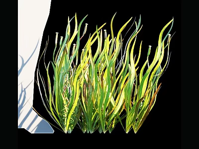 Lush Aquatic Plants with Long Slender Green Yellow Leaves and Natural Foliage 3d model