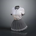 Cute White Short Sleeve Collared Shirt with Gray Pleated Skirt and White Trim