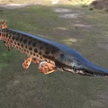 Spotted Freshwater Aquatic Animal With Long Snout Sharp Teeth And Elongated Body