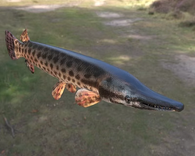 Modern crocodile eel 3d model
