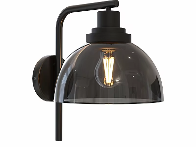 Modern Wall Lamp With Black Metal Bracket And Transparent Glass Shade 3d model