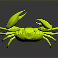 Vibrant Orange Crab with Prominent Large Claws Isolated on Dark Background