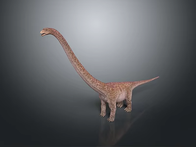 3D Rendered Sauropod Dinosaur with Long Neck and Textured Skin Standing on Gray Background 3d model