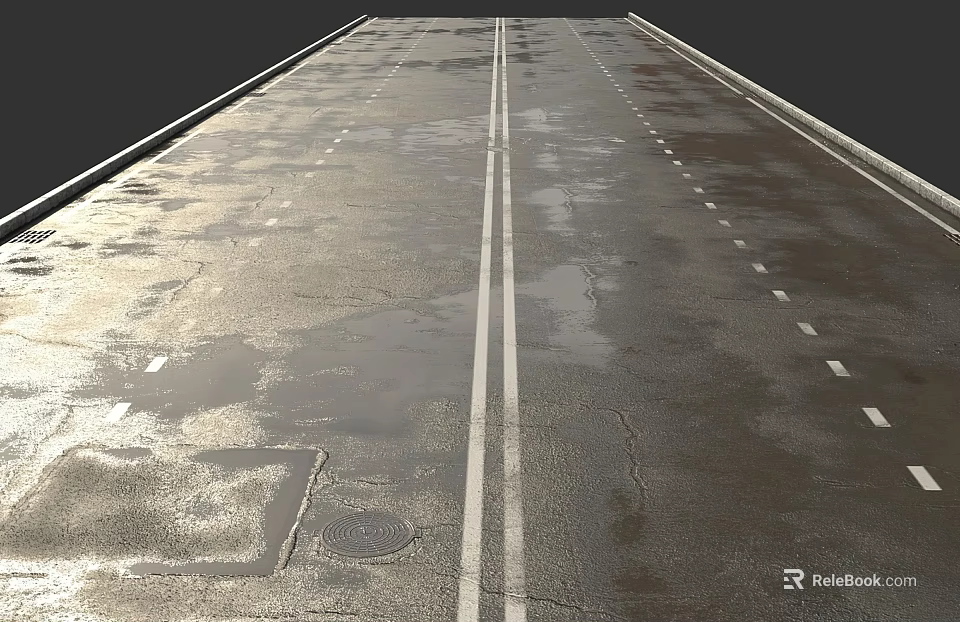 Wet Road Surface With Lane Markings And Water Patches 3d model 