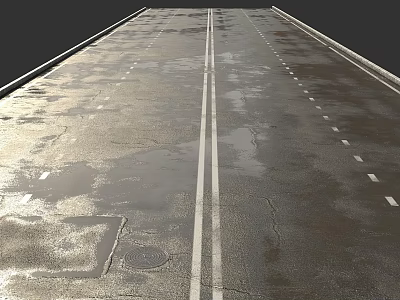 Wet Road Surface With Lane Markings And Water Patches 3d model