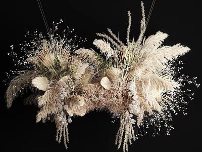 Natural Decorative Ornament Set With Dried Grass Pampas Feathers And Elegant Hanging Design 3d model
