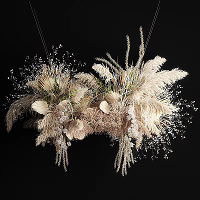 Natural Decorative Ornament Set With Dried Grass Pampas Feathers And Elegant Hanging Design 3d model