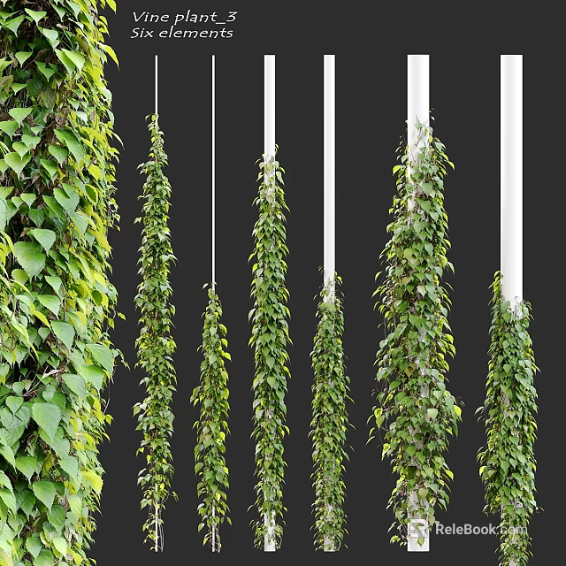 Natural Green Hanging Plant Decorative Ornament Combination With White Columns For Home Interior 3d model 