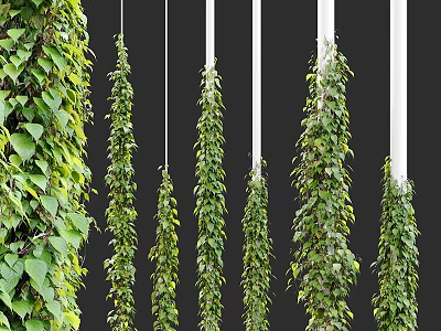 Natural Green Hanging Plant Decorative Ornament Combination With White Columns For Home Interior 3d model
