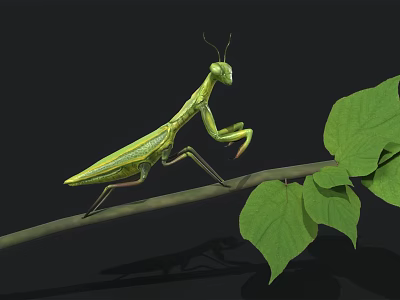 Realistic Green Praying Mantis Perched On Tree Branch With Fresh Green Leaves 3d model