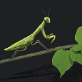 Realistic Green Praying Mantis Perched On Tree Branch With Fresh Green Leaves